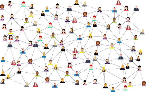 奇光傳媒 以精細化運營管理為引擎，驅動達人優質化與數字內容制作服務雙軌并行